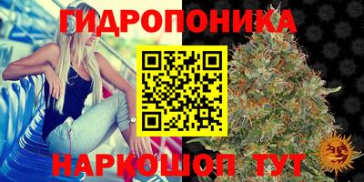 каннабис Гагарин