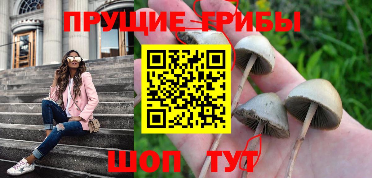 Галлюциногенные грибы Cubensis  Вход с VPN  Бутурлиновка 